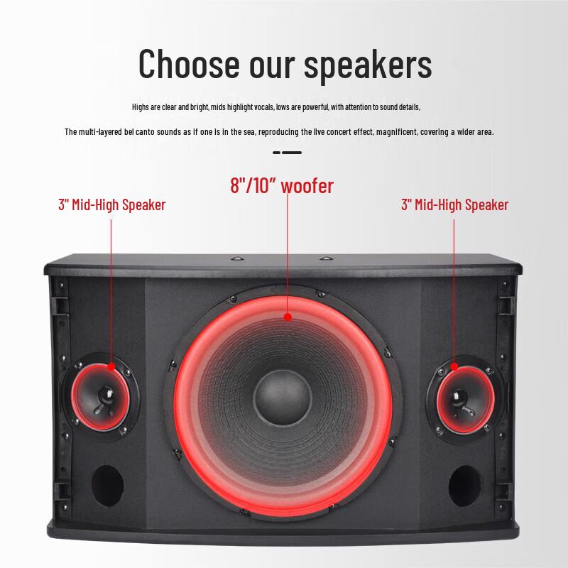 QIASHENG CS350 8-inch Professional KTV Stage Speakers (Pair) CN Plug (adapter Included)