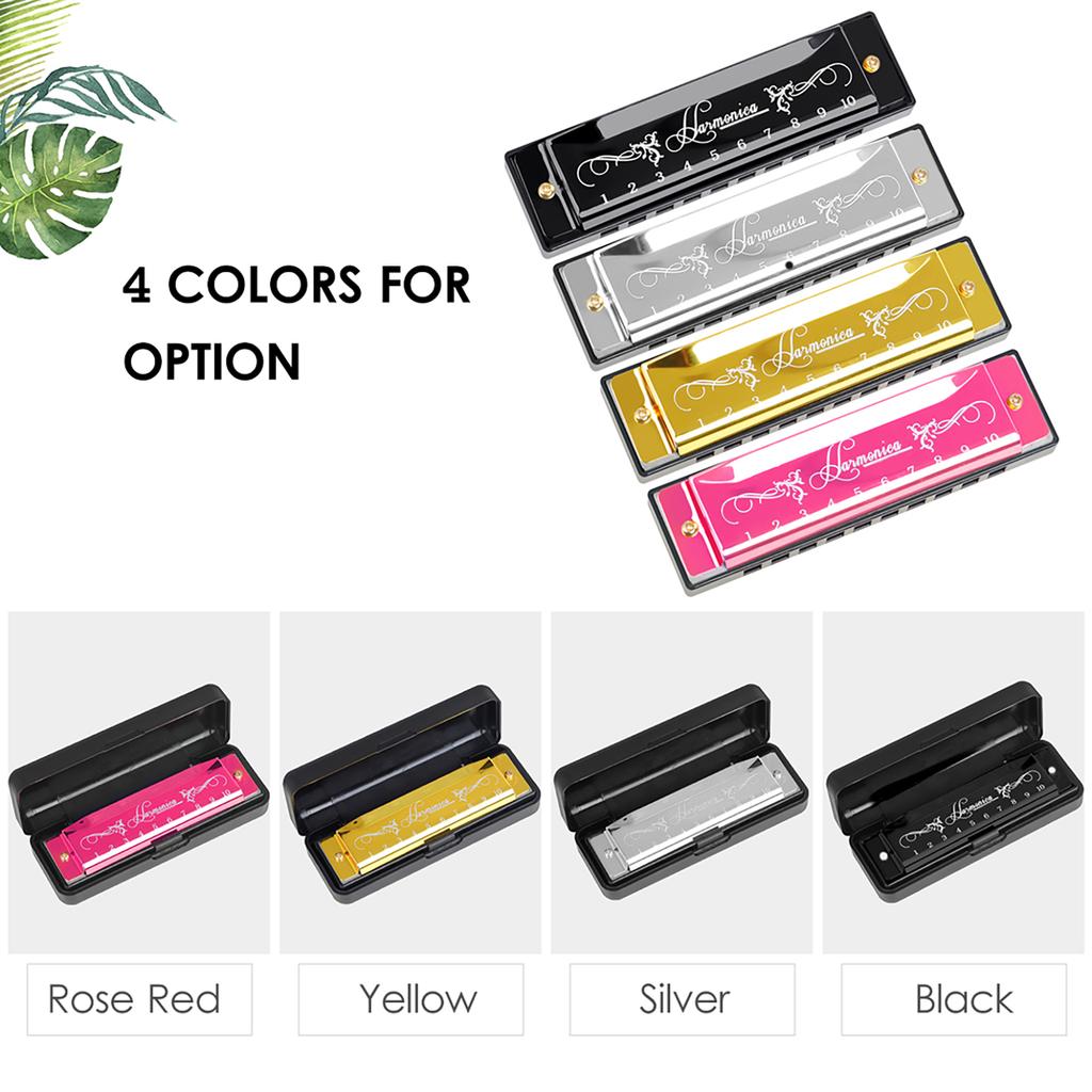 IRIN 10 Hole Harmonica Key of C 20 Tone Musical Gift with Storage Case for Beginner Student