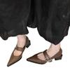 French Retro Mary Jane Thick-heeled Single Shoes Women's 2025 New Temperament Pointed One-word Buckle with Small Fragrant High Heels