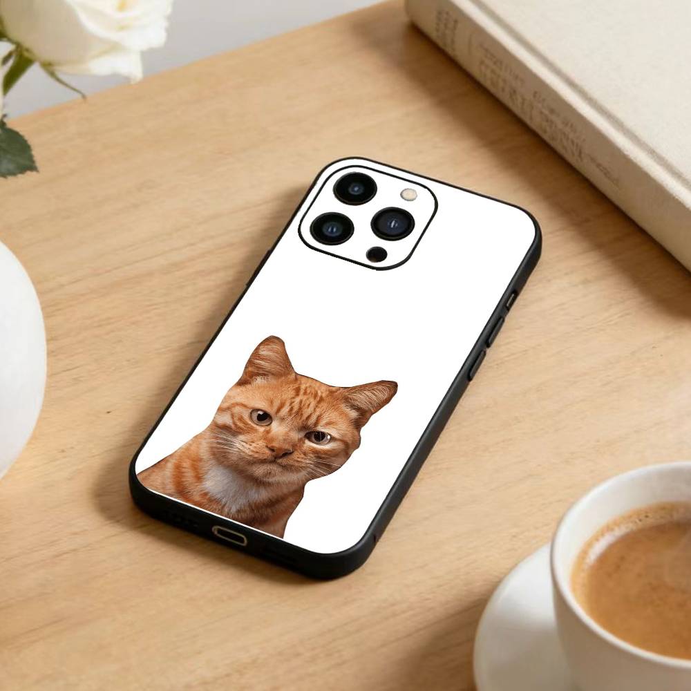 Goofy Cool Cats Big Eyes Phone Case For iPhone 17 16 15 14 13 12 Max Plus Silicone Black Cover