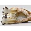 BH7764 HANSA Triceratops Scream 43 Hand Puppet