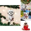 Acrylic Adorable Car Accessories And Christmas Tree Decorations Perfect For Brightening Spaces