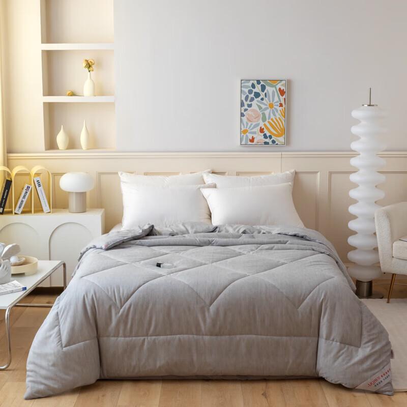 

AIQIWU Nordic Warm Winter Quilt