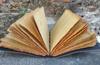 Embossed Leather Journal: Mother Earth, Tree of Life, Deckle Edge