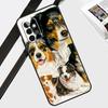 Australian Shepherd Dog Case For Samsung Galaxy A56 A36 A26 A16 A06 A54 A34 A14 A12 A22 A32 A52 A13 A53 A15 A35 A55