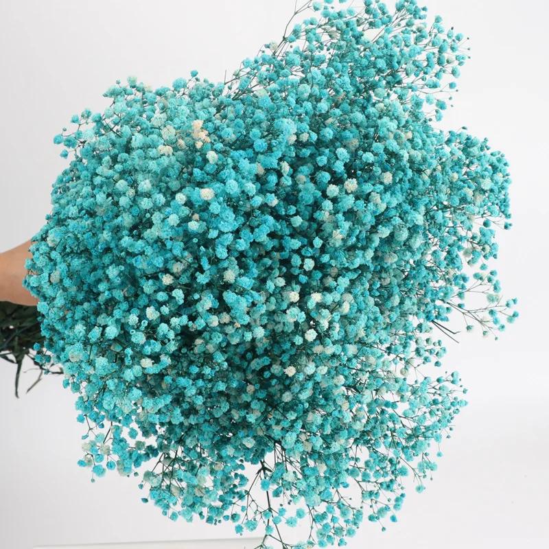 Dried Flowers Babys Breath Bouquet Ivory White Flowers Natural Gypsophila Branches for Home Decor Wedding Flowers Bulk for Vase