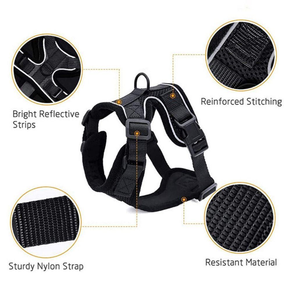 Breathable Cat Harness and Leash Escape Proof Cat Chest Strap Mesh Dog Harness  Training