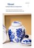 Blue and White Porcelain Antique Vase: Chinese Ornamental Jar for Home or Study Display