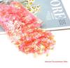 DIY Irregular Nail Shell Paper Fragments – 10g Bag for Slime, Epoxy Resin, Crafting.