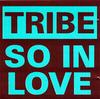 CD TRIBE  So In Love WOLF9402 Wolfpack Produc 1994 Canada Dance  Electronica Used