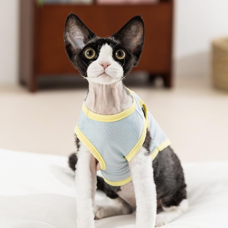 

Cat cool clothes spring and summer thin breathable rainbow word print traction vest blue cat kitten puppy pet clothes XS (recommended weight 1-1.5 kg) бонді синього кольору