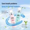 Ocean Mint Breath Freshener Spray
