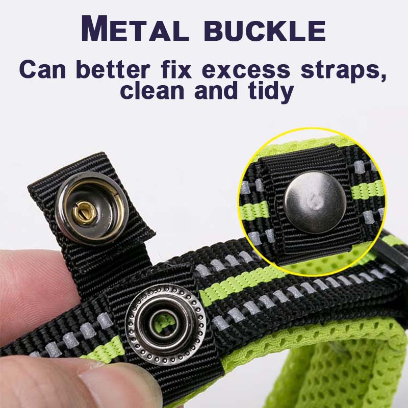 Truelove Hundehalsband zum Gassigehen Komfortgepolstert mit Schnalle Nylon Reisehalsband Taktisches Hundezubehör 11 Farben Größe XXS-XXXL