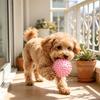 Jouet Boule à Pointes pour Chien Flexible TPR Nettoie les Dents Masse les gencives Jouet Réduit la Mauvaise Haleine Jouet à Mâcher Interactif Durable pour Chiens Et Chats