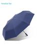 Paradise Umbrella Automatic Foldable and Portable Vinyl Sun Protective Sun Umbrella Sun Umbrella Reinforcement Umbrella Dual-Use Men and Women