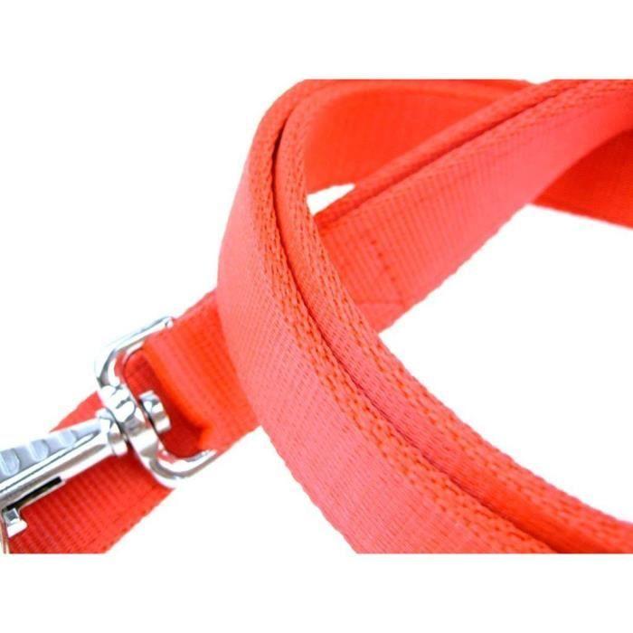 Laisse multifonction - HALTI - Rouge - Nylon et corde - 2 mètres - 2 mousquetons