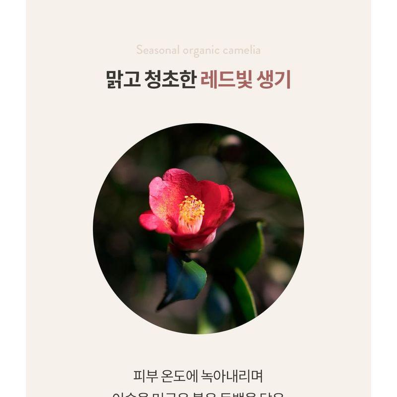 SIORIS - Lipsafer Color Balm Reddish