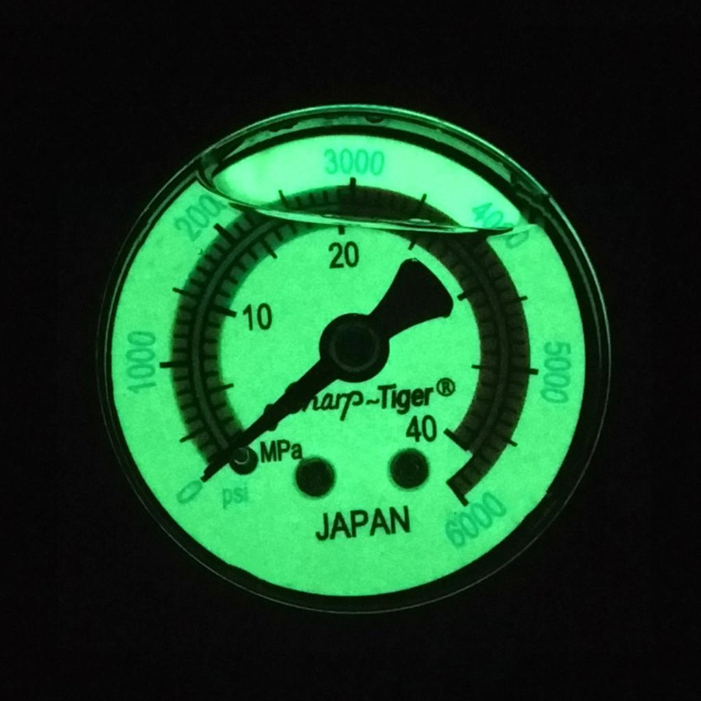2" Size Liquid Filled Pool Filter Pressure Gauge Steel for Case 0-6000/ 0-40MPa 10mm Back Mount