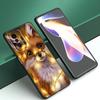 Cute Cartoon Fox Phone Case For Xiaomi Mi A2 8 9 SE Note 10 10T 11 12 Lite 9T 11T 12S 12T Pro A3 6X 12X Soft TPU Black Cover
