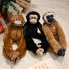 Bebek ve Peluş Oyuncaklar – Doldurulmuş ve Peluş oyuncak hayvanlar