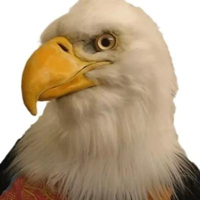 Accesorii de petrecere – Măști pentru petrecere