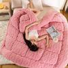 Double Sided AB Version Core Super Thick Winter Warm Blanket for Bed Artificial Lamb Cashmere Weighted Blanket Soft Comfortable Warmth Quilt Comforter