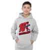 Spider-Man Childrens/Kids Heather Pull Over 10th Birthday Hoodie