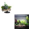 Aquarium Skull Decorations Small Skeleton Ornaments Fish for Tank Landscape Accessories with Air Hose
