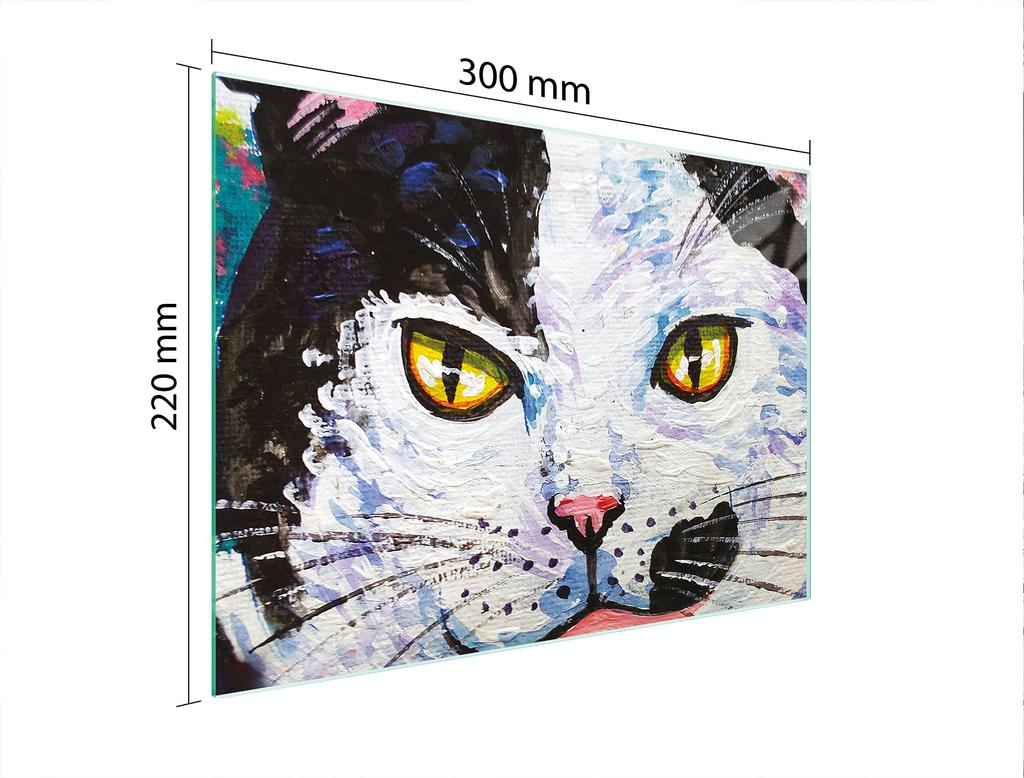 SZKLANA DESKA DO KROEJNIA 30x22 KOT