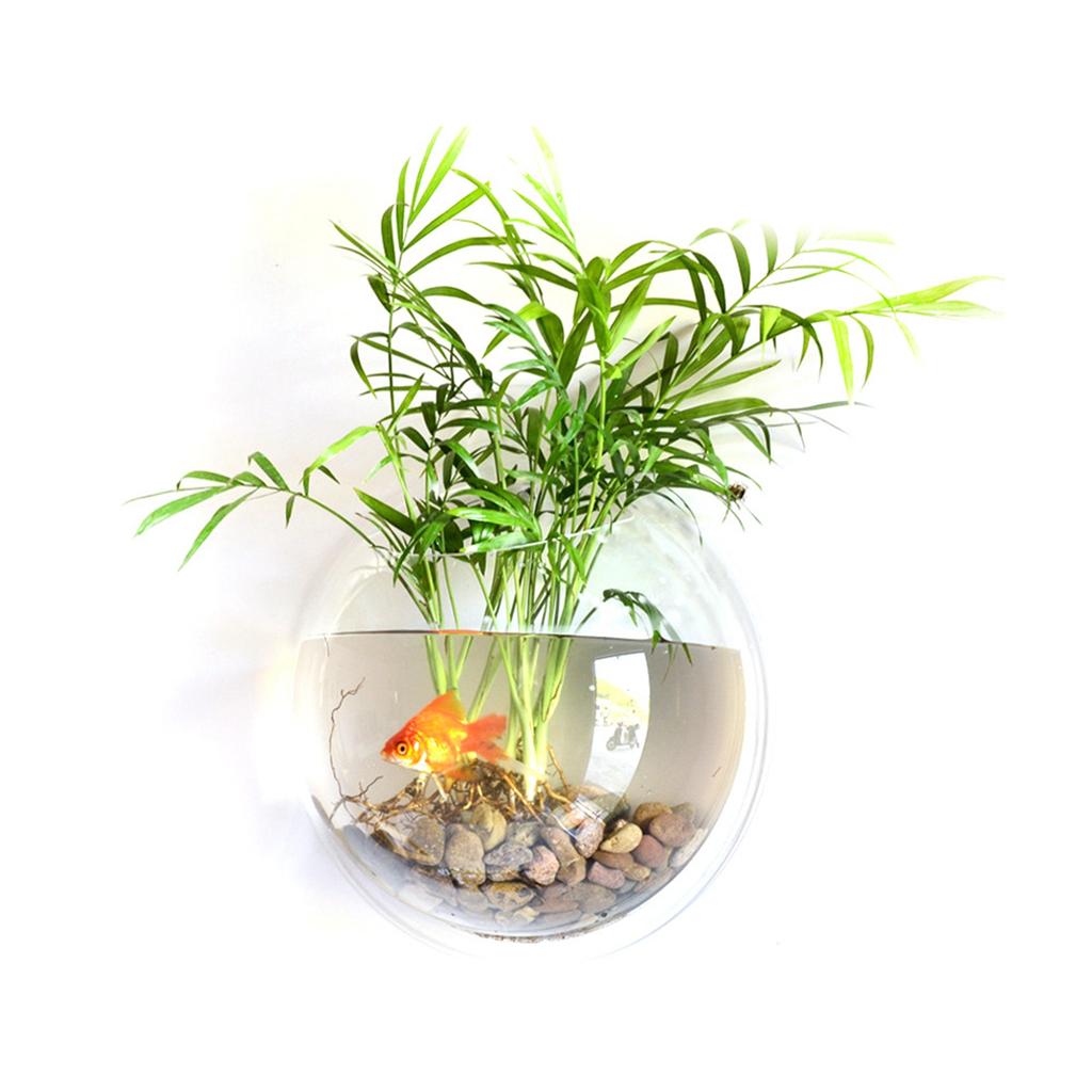 Wall Mounted Fish Tank Vase Transparent Acrylic Material 15cm  Diameter Air Flower Pot Home Living Room Bedroom Decoration