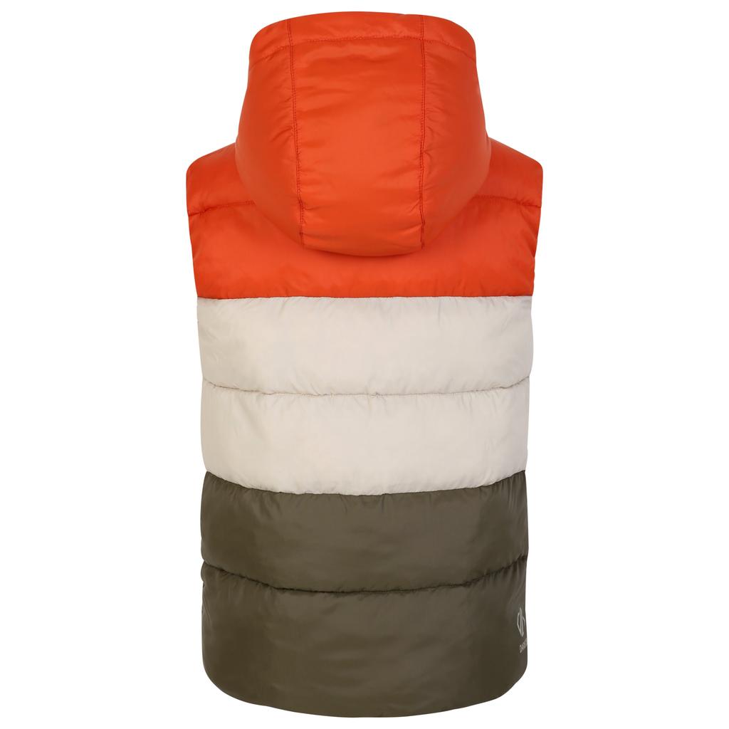 Regatta Childrens/Kids Jolly Padded Gilet