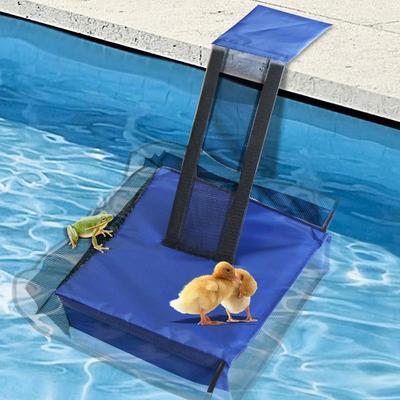 Tier Schwimmen Rettung Fluchtrampe Tierfluchtrampe Tierrettungsleiter Frosch Vogel Streifenhörnchen Schwimmbad Fluchtnetz