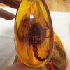 1Pc Insects Amber Gemstone Scorpion Natural Mineral Home Decor Insects Amber Gemstone Diy Hand Crafts Gift