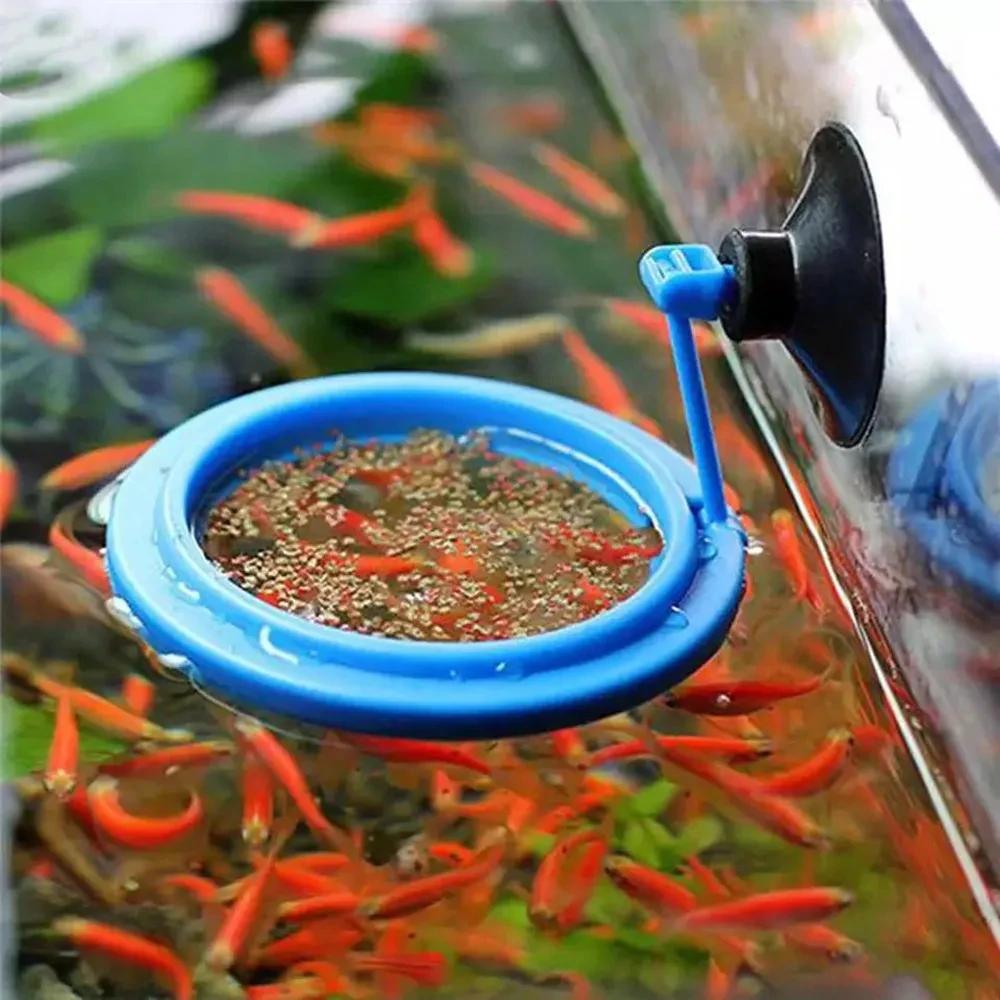 Fish Feeding Supplies Plastic Buoyancy Circle for Aquarium Floating Food Feeder Square/Round Feeding Ring Mini Fish Tank Tools