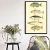 Ocean Sea Shell Fish Animal Canvas Painting Posters And Prints Wall Art Picture Vintage Life Chart Biology Decoration Home Decor