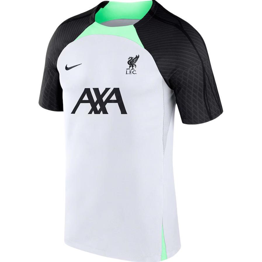 Nike Liverpool F.C. Strike Dri-FIT Knit Jersey Grey Men s DX3020-013 L