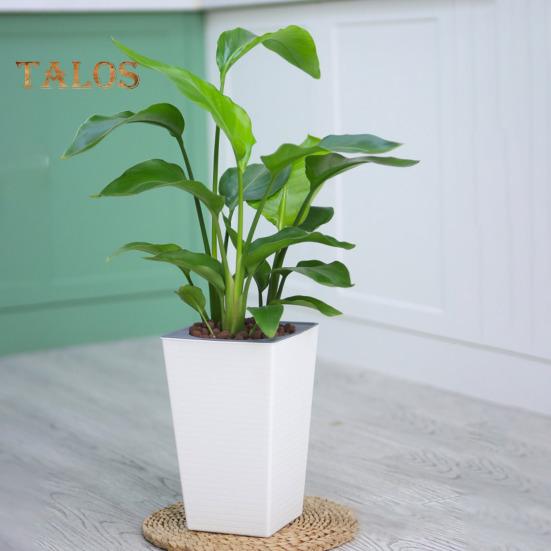 Self-Watering Plant Pot with Drainage Holes Automatic Watering Flowerpot Water Storage Planter for Indoor Outdoor Plants