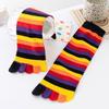 1 Pair Rainbow Toe Socks Colorful 5 Toe Calf Socks Rainbow Striped Leg Warmers Funny Long Toe Socks for Women and Girls