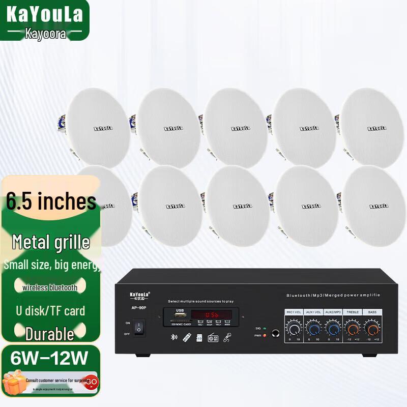 KaYouLa Conference Audio/Video Ceiling Speaker System (CN version)