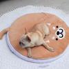 Soft Short Plush Pet Bed