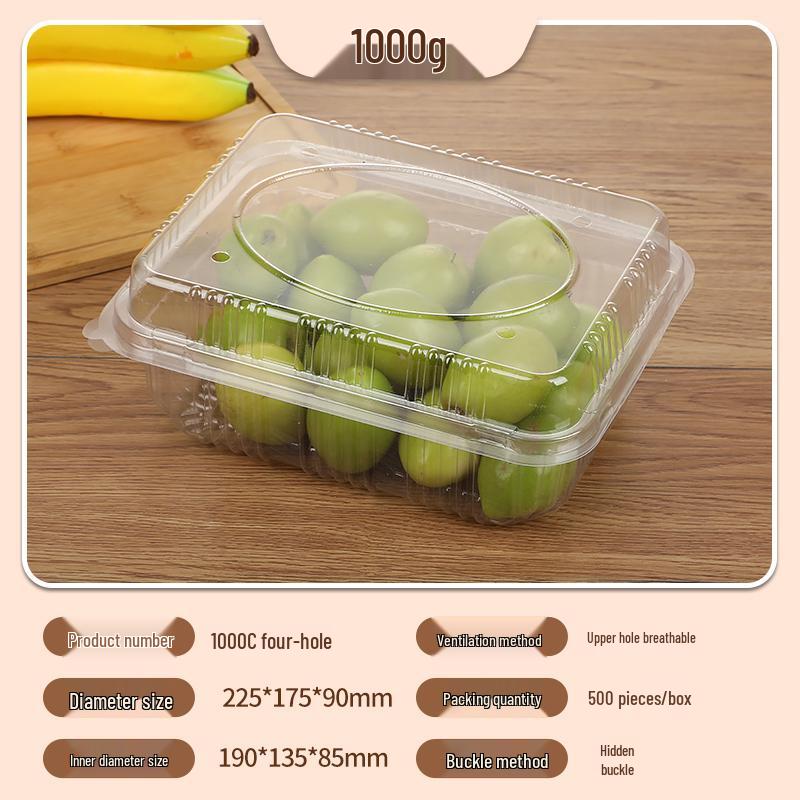 Portable Disposable Transparent Plastic Rectangular Fruit Packaging Box with Lid
