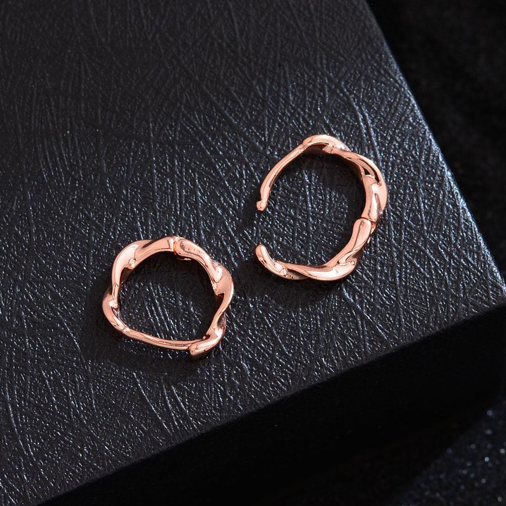 Simple Temperament Small Twisted Circle Earrings Women S Cold Wind High Sense Niche Twist Small Earrings Ear Jewelry