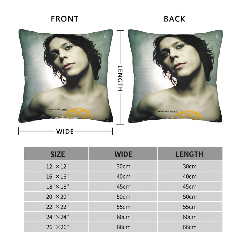 Rock H-HIM Band V-Ville V-Valo Pillow Cover Comfy Cushion Cover Retro Trendy Pillow Case For Living Room Chair