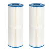 Filtro per Piscina Spa per PRB50-IN Filtro Whirlpool, Unnicel C-4950 Guardian 413-212-02 Filbur FC-2390 Filtro per Piscina Serie J200 Whirlpool