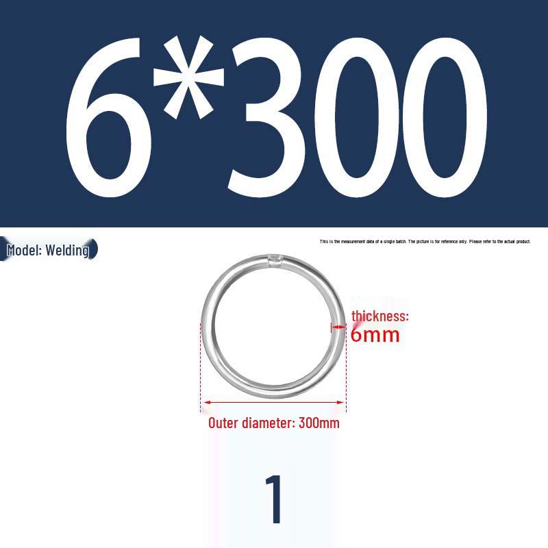 304 Stainless Steel Seamless O-Ring for Lifting and Hammock Yoga Connection