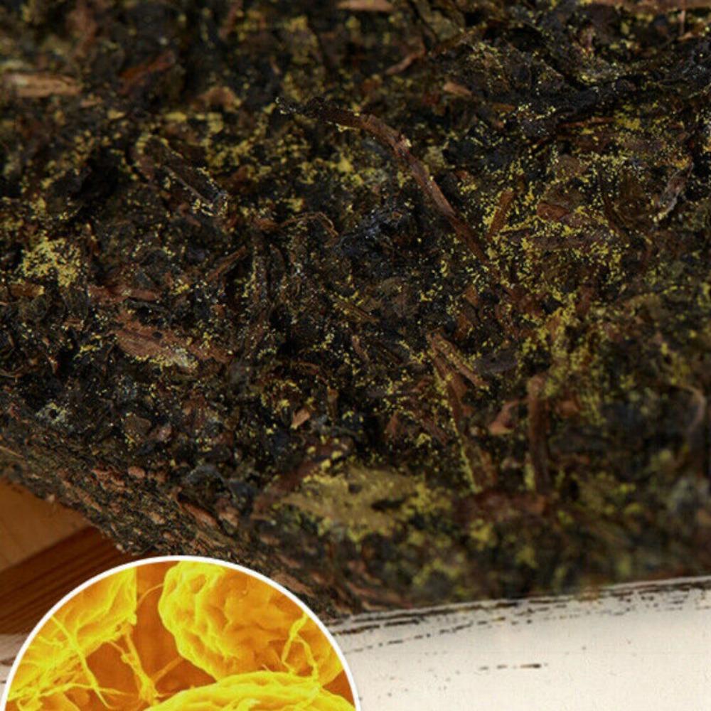 Yiyang Anhua Hei Cha Fu Tè in Mattonella 300g Tè Nero Hunan