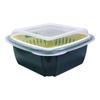 3 In 1 Double Layer Drain Basket Box with Lid Multifunction Refrigerator Crisper Storage Container Vegetable Organizer