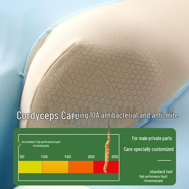 Men's Ice Silk Seamless Boxer Briefs