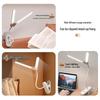 Oeny Dual-Head Clip-On Desk Lamp