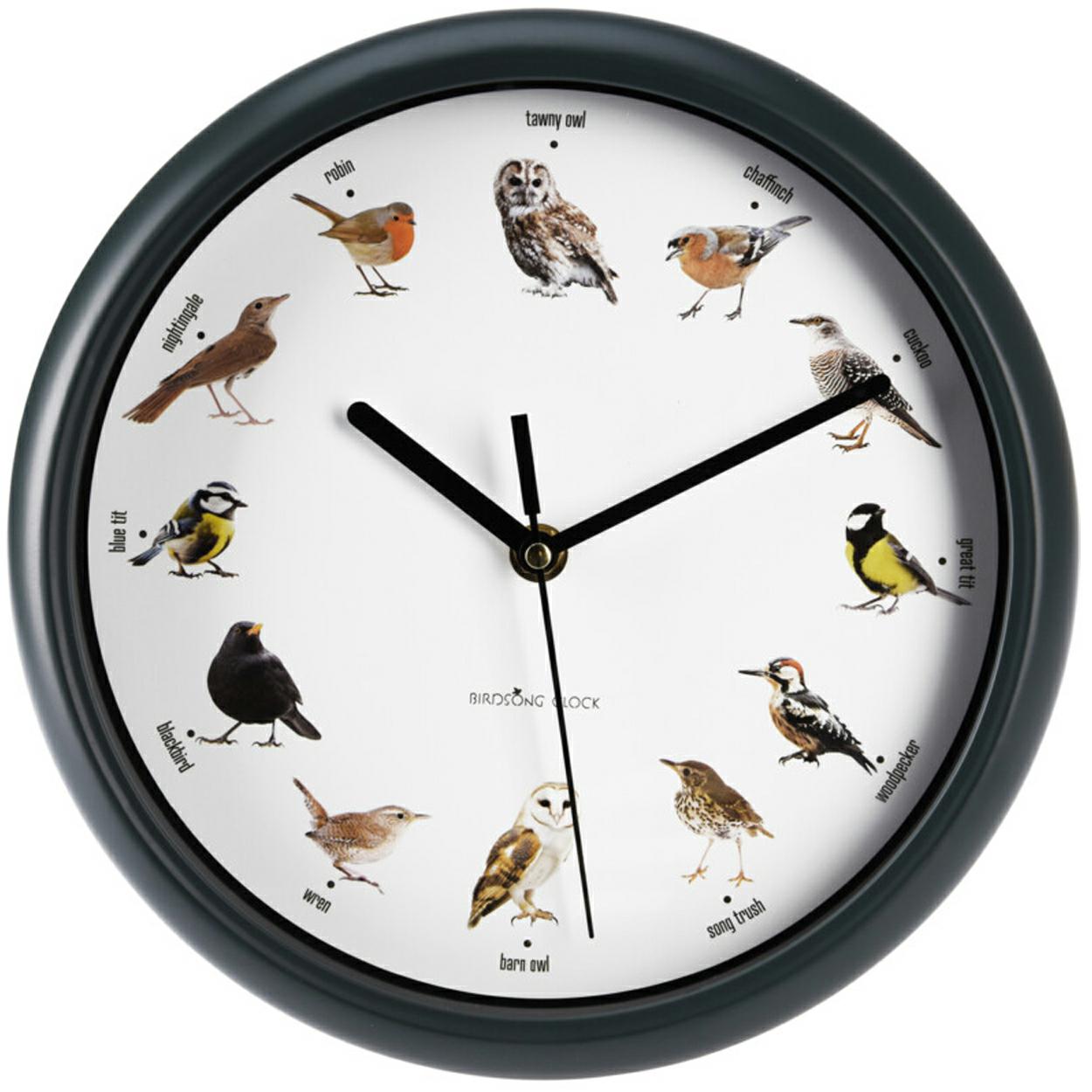 Super Merchant Wanduhr Mit Vogelstimmen 25 Cm
